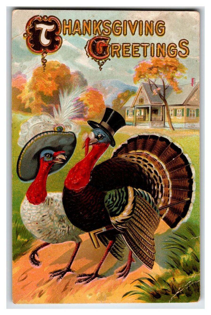 Vintage Thanksgiving Turkeys Dressed in Hats Postcard 1911 St. Johnsville NY
